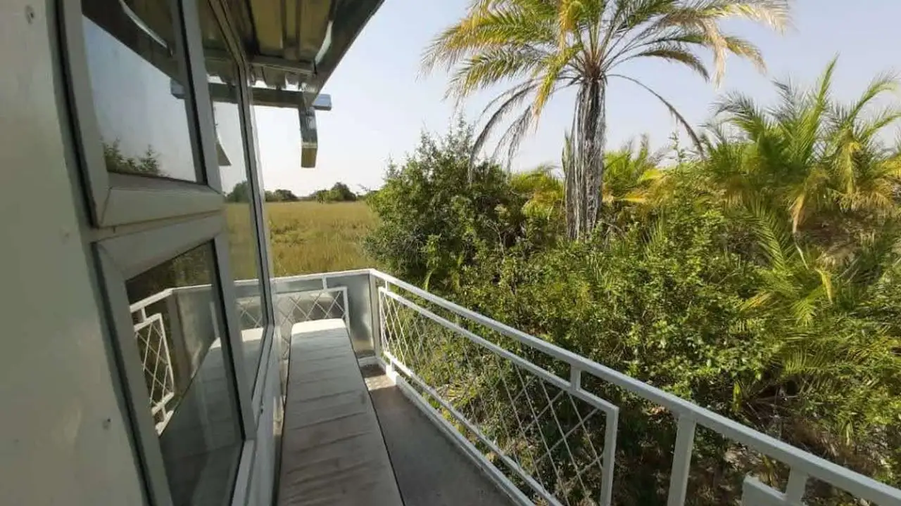Outdoor view from the Inkwazi Houseboat, showcasing a serene balcony area surrounded by lush greenery, with palm trees and dense vegetation visible along the riverbank.